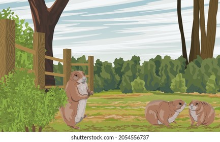 Prairie dogs in a green meadow near tall trees, wooden fence and bushes. Wild rodents of North America. Realistic vector landscape