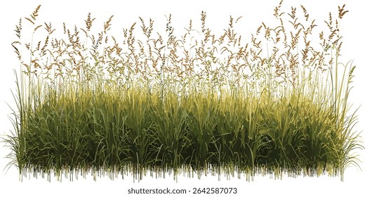 Prairie grass row vector, meadow cutout, transparent background, wildflowers, nature landscape, summer field, natural, outdoor scene, greenery, spring, eco friendly