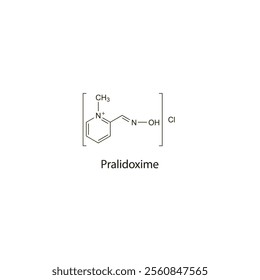 Pralidoxime Chloride flat skeletal molecular structure cholinesterase reactivator drug used in organophosphorus poisoning treatment. Vector illustration scientific diagram.