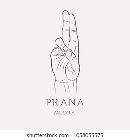 Prana mudra - gesture in yoga fingers. Symbol in Buddhism or Hinduism concept. Yoga technique for increase vitality and activate the muladhara chakra. Vector illustration isolated on white background