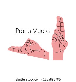 Prana mudra or Peace mudra or Shanti mudra. Yoga hand gesture. Meditation. Vector illustration in flat minimalism design. Isolated on a white background.