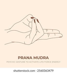 PRANA MUDRA. YOGA. Yogic hand gesture. Yoga hand mudra.