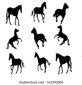 prance horse silhouette, vector illustration , horse race, isolated on white background, set of horses silhouette, group of horses silhouette