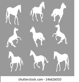 prance horse silhouette, vector illustration , horse race, isolated on dark/gray  background, set of white horses silhouette, group of horses silhouette