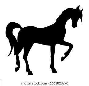 prancing horse fine vector silhouette and outline -  graceful black stallions against white. Monochrome ink hand drawn. Horse vector illustration