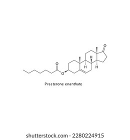 Prasterona enanthate estructura molecular esquelética plana Androgen, fármaco agonista del receptor andrógeno utilizado en el tratamiento de la insuficiencia renal. Ilustración vectorial.