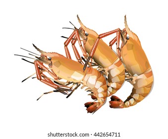 Prawn cooked and shrimp burnt isolated on white background. Vector Illustration
