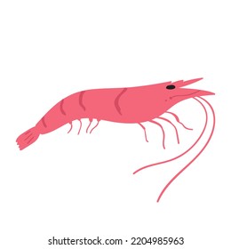 Prawn. Flat vector hand drawn illustration.