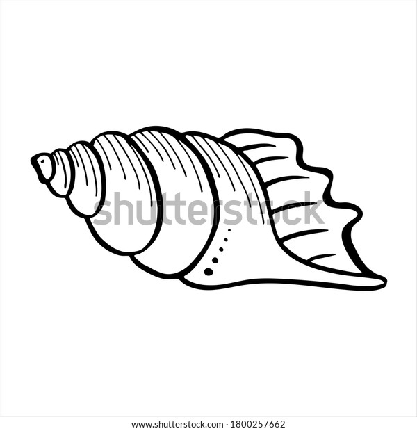 Prawn Hand Drawn Isolated Vector Illustration Stock Vector (Royalty ...