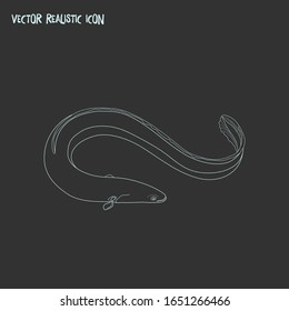 Prawn icon line element. Vector illustration of prawn icon line isolated on clean background for your web mobile app logo design.