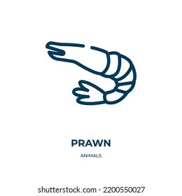 Prawn icon. Linear vector illustration from animals collection. Outline prawn icon vector. Thin line symbol for use on web and mobile apps, logo, print media.