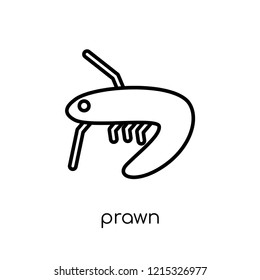 Prawn icon. Trendy modern flat linear vector Prawn icon on white background from thin line animals collection, editable outline stroke vector illustration