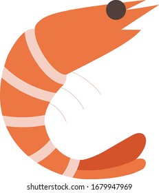 prawn illustration vector icon flat design