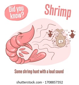 Prawn. Interesting facts about shrimp. Did you know? 