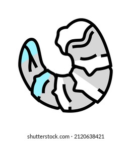 prawn seafood color icon vector. prawn seafood sign. isolated symbol illustration