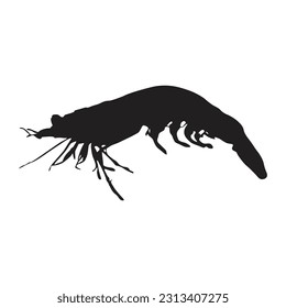Prachtsilhouette. Gut für gedruckte Elemente, Tierbücher und Tierinhalte geeignet