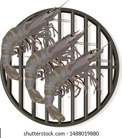 Prawn or tiger shrimp grilliing  / bbq vector illustration isolated on white background