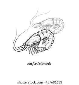Prawns. Seafood. Vector illustration. Isolated image on white background. Vintage style. Hand drawn black ink image.