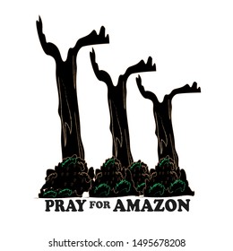 PRAY FOR AMAZON with white backround