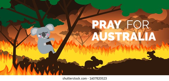 Pray For Australia Banner Forest In Fire Burning Bushfire . Save Koala Bears 