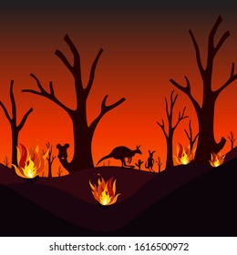 Pray for Australia Bushfires, Silhouette Forest with Koala and Kangaroo with Fire Background.
