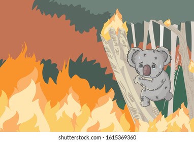 pray for Australia, koala crying on the tree in forest fire