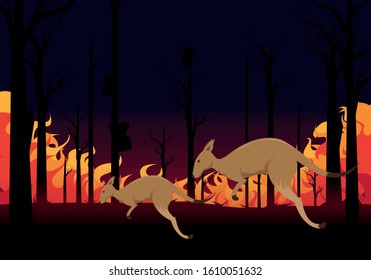 Pray for Australia.scared kangaroo with a baby kangaroo trying to escape from the burning forest fires