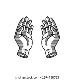 Praying Hands drawing vector illustration Vector