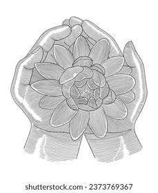  praying hands with lotus flowers on them, Vintage engraving drawing style illustration