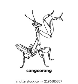 praying mantis in action drawn in black and white line art style