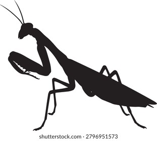 Praying mantis black silhouette icon, insect design element.