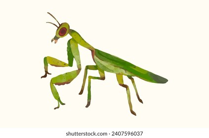 Mantis de rezar, insecto, insecto, fauna animal, acuarela de la naturaleza, ilustración vectorial.