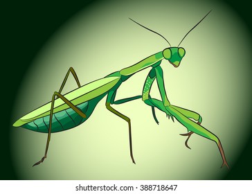 Praying mantis. Funny vector illustration. 