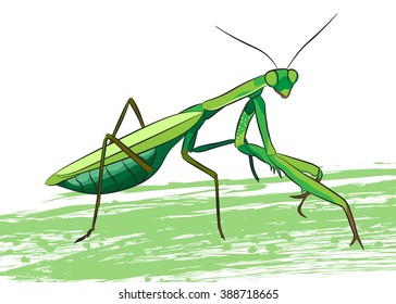 Praying mantis. Funny vector illustration. T-shirt design.