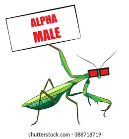 Praying mantis. Funny vector illustration. T-shirt design.