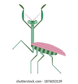Praying mantis geometric flat icon. Green mantis insect with pink wings.