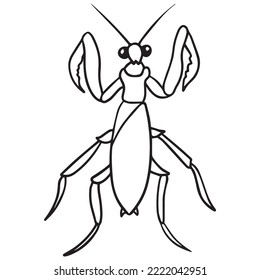 diseño gráfico de mantis de oración ilustración vectorial, dibujo de tatuajes de arte, dibujo a mano, uso de impresión
