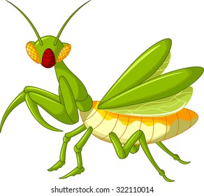 Praying mantis grasshopper cartoon