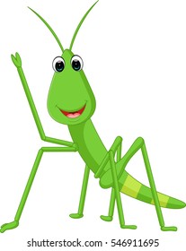 Praying mantis grasshopper cartoon