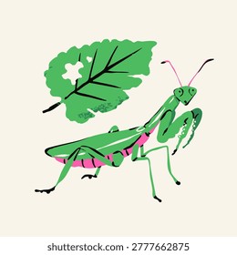Praying Mantis. Green, pink insect, bug, leaf. Cute little character. Hand drawn trendy Vector illustration. Isolated design element. Sticker, logo, icon, print template
