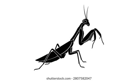 Praying mantis illustration a black silhouette against a white background silhouette