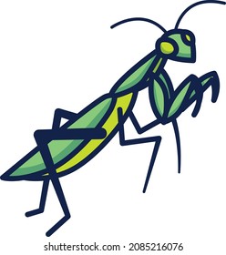 Praying mantis illustration icon design flat animals