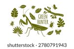 Praying mantis illustration set with beetles, butterflies, and tropical leaves. Olive green silhouette vector design titled Green Hunter, isolated on a white background for nature projects.