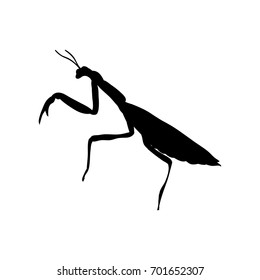 Praying mantis insect black silhouette animal. Vector Illustrator.