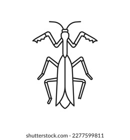 Praying mantis insect icon. High quality black vector illustration.