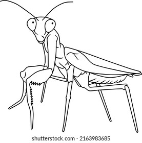 578 Cartoon praying mantis Images, Stock Photos & Vectors | Shutterstock