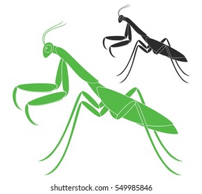 Praying mantis logo. Isolated mantis on white background
