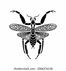Praying Mantis Logo Symbol Stencil Design Vetor Stock Livre De Direitos Shutterstock