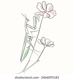 praying mantis on flower one line drawing. praying mantis on flower single line illustration. praying mantis on flower minimalist line art