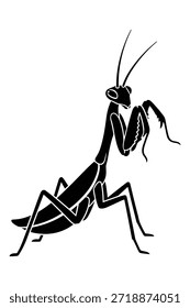 Praying mantis predatory insect arthropod species animal silhouette icon